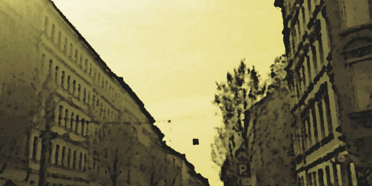 copwatch leipzig. WAS DARF ICH? WAS DARF DIE POLIZEI? WAS TUN ALS OPFER ODER ZEUG*IN VON POLIZEI GEWALT UND FESTNAHME?!